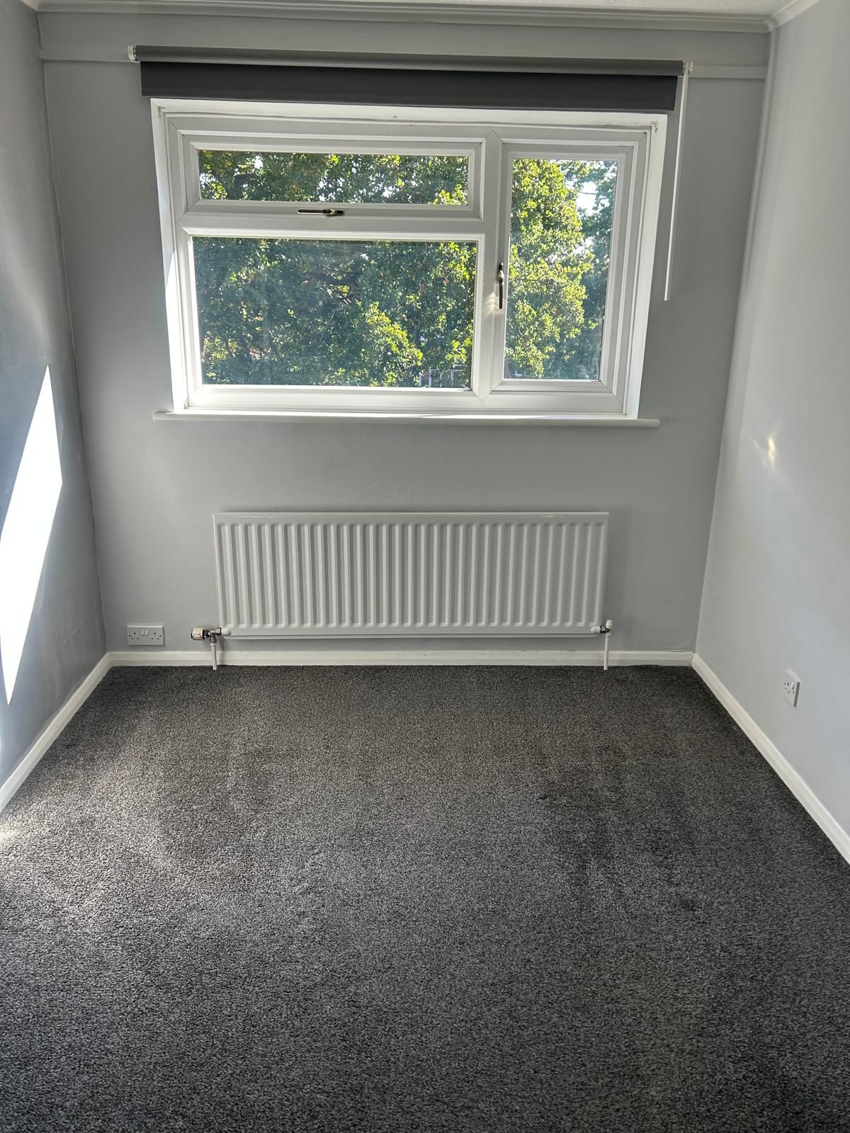 Carpet and Upholstery Cleaning